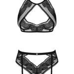 A further look at the Allastia black mesh bra and panties set