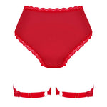 The Belovya red mesh and lace garter panties in an additional gallery image