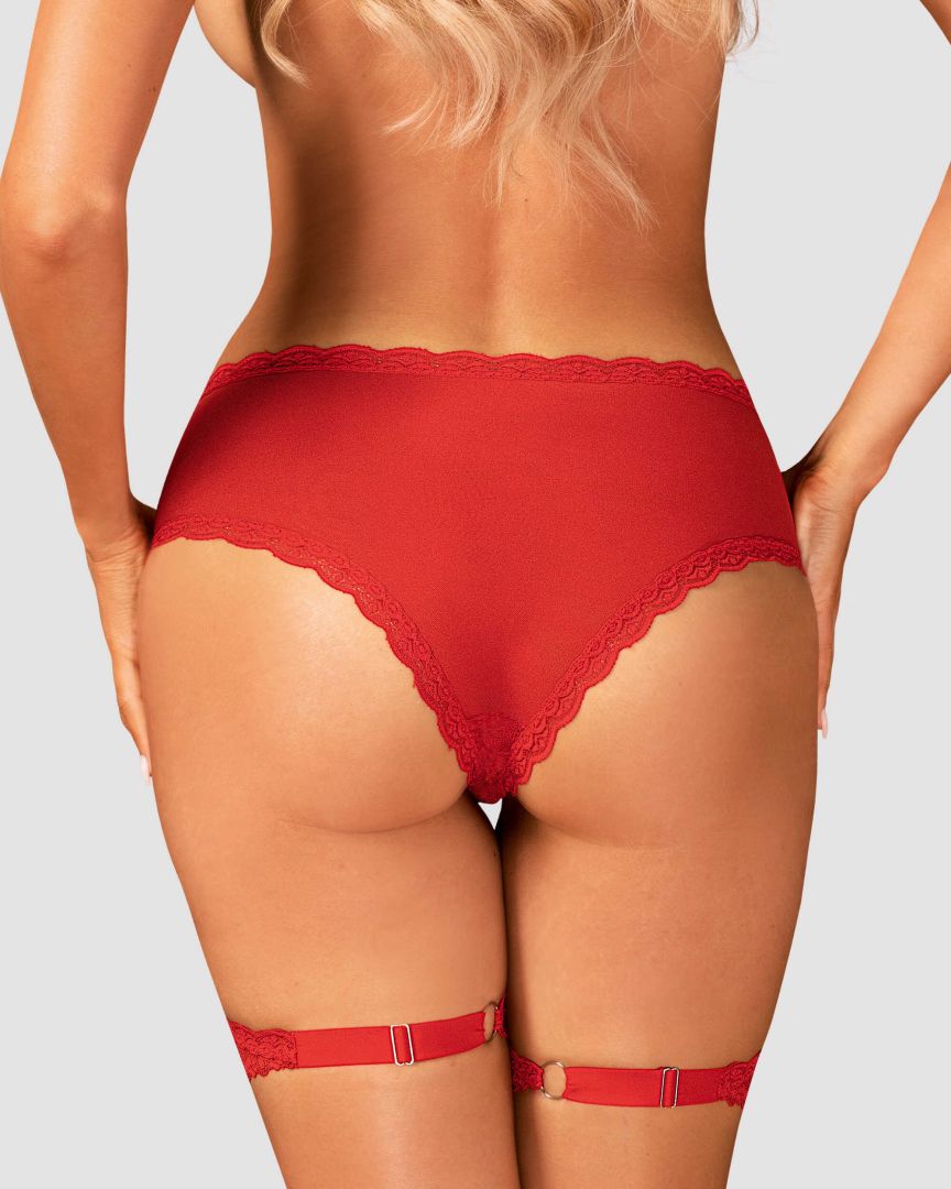 One more view of the Belovya red mesh and lace garter panties