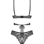 An additional view of the Blomentis black lace bra and panties set