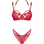 A further look at the Matildea red lace crotchless set