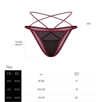 Another angle of the Parisel burgundy and black mesh mini panties