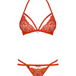 An additional view of the red mesh bra set