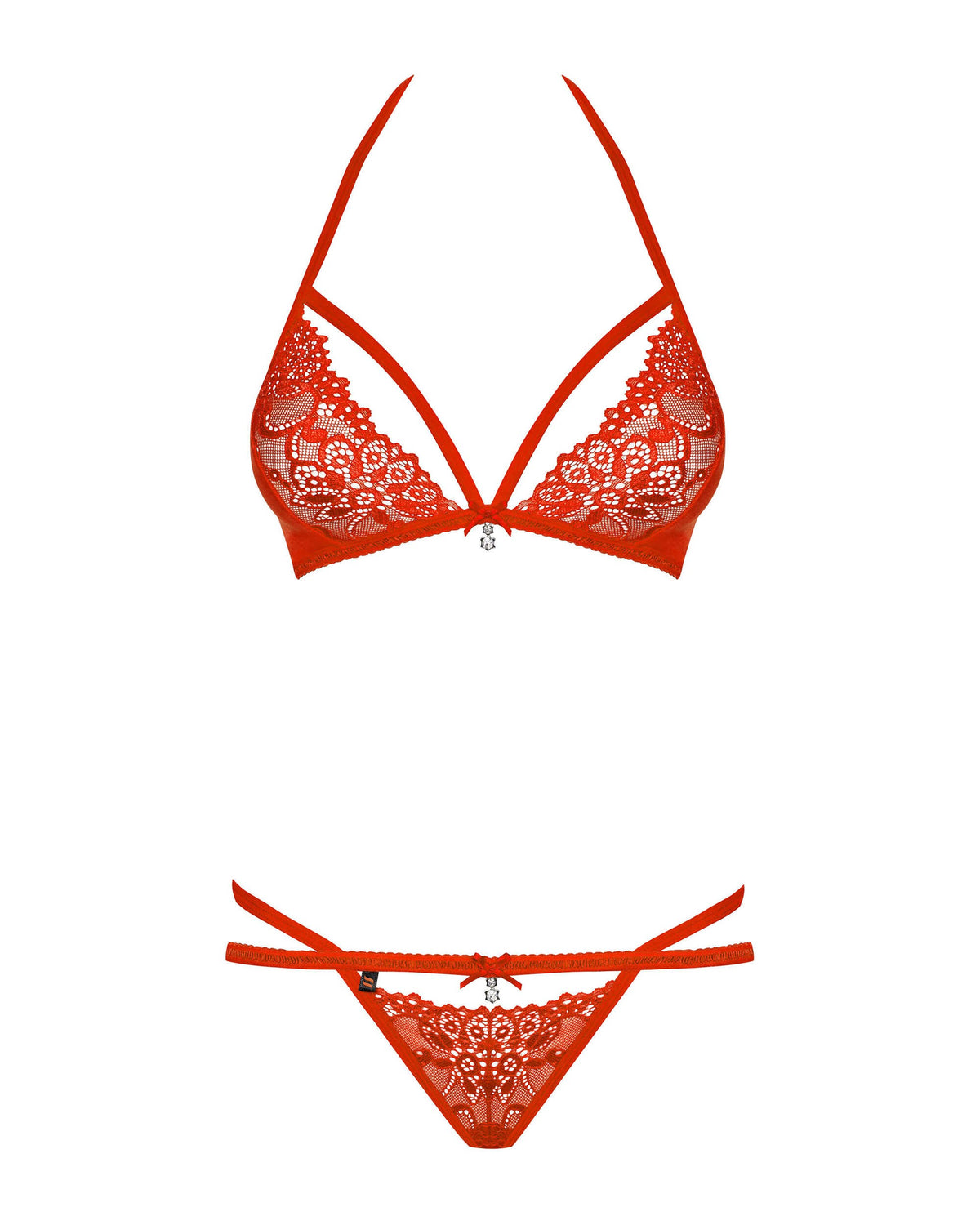 An additional view of the red mesh bra set