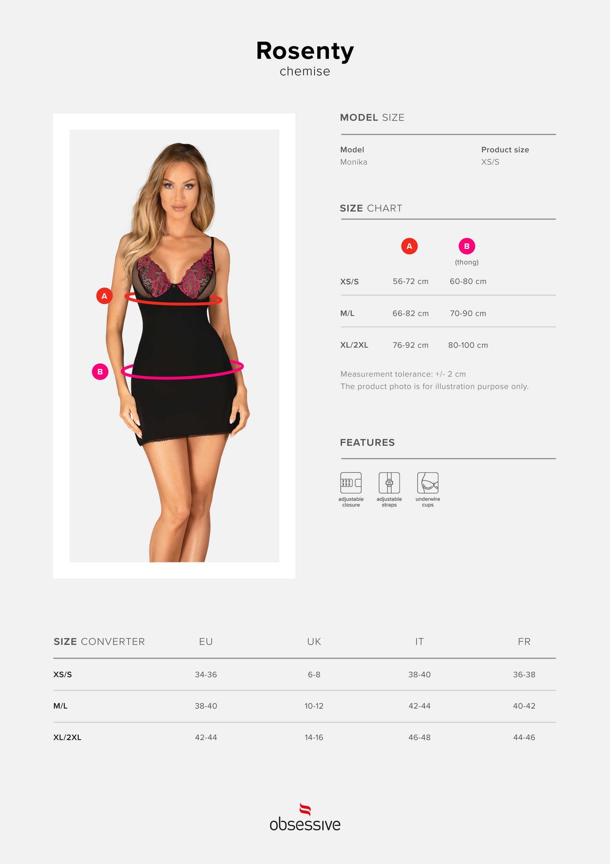 One more view of the Rosenty black lace and mesh chemise