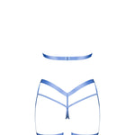 Shaderi blue harness set with silver hardware